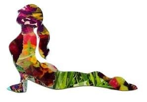 Spinal Health Support